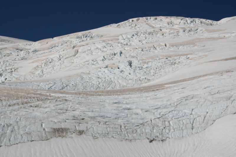 Nieuw-Zeeland 2011 - 1519